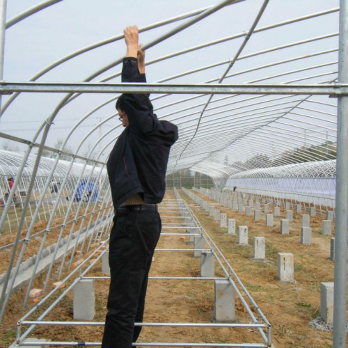 承接大棚温室建设 搭建种植大棚一亩地造价 农业大棚