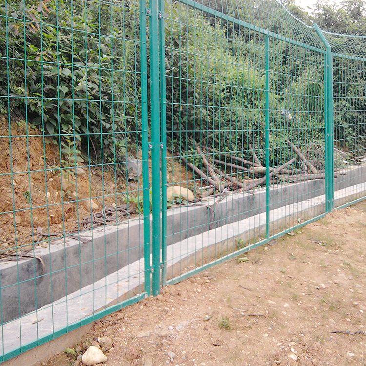 Summer beach concept