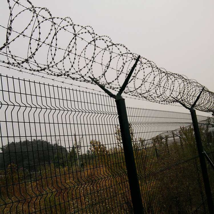 Summer beach concept