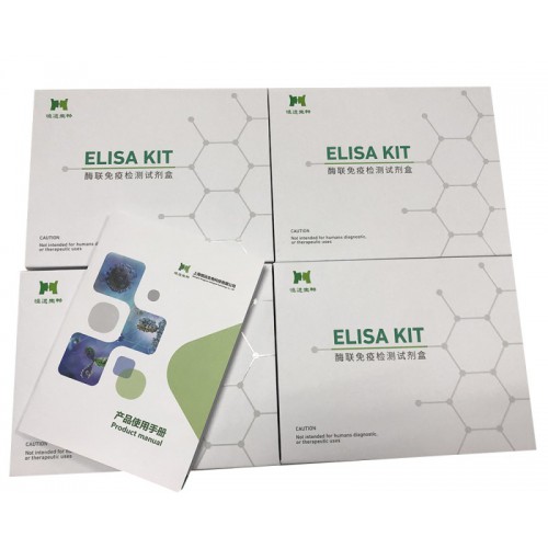 小鼠总TAU蛋白(T-TAU)ELISA试剂盒