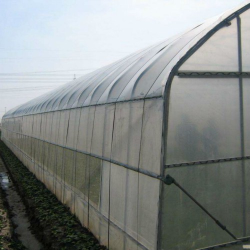 做大棚厂家 单体大棚造价一平方米 建大棚