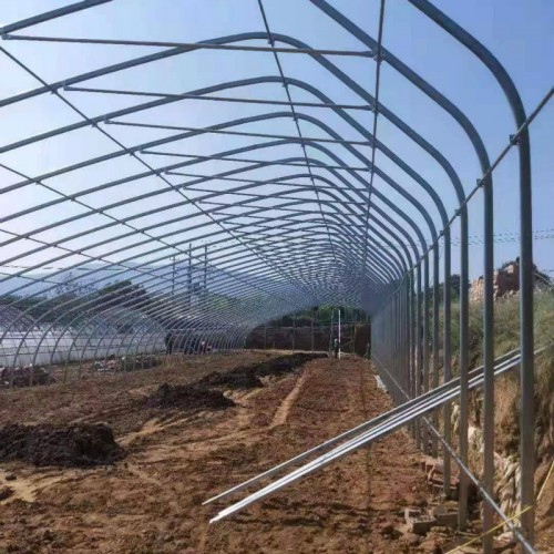 生态大棚建设 小型温室大棚建造 建大棚公司 扣大棚