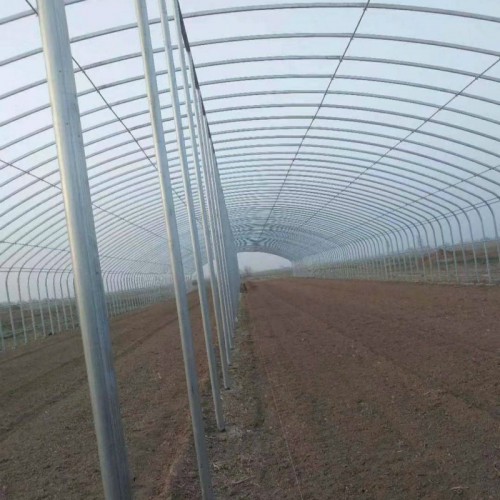 农业温室大棚造价 种菜大棚建设 现代新型保温大棚