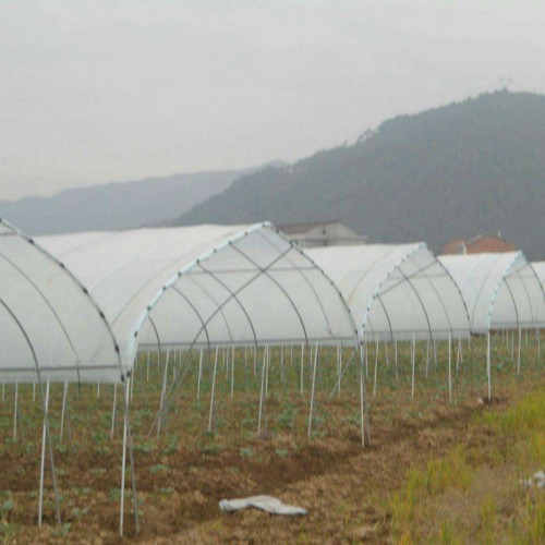 肩并肩大棚 双层养殖大棚 包塑钢管大棚 春秋大棚