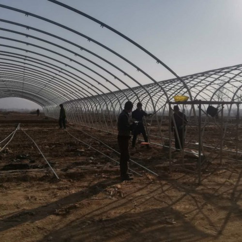 包塑钢管大棚骨架 搭菜棚架子钢管 养羊大棚建设