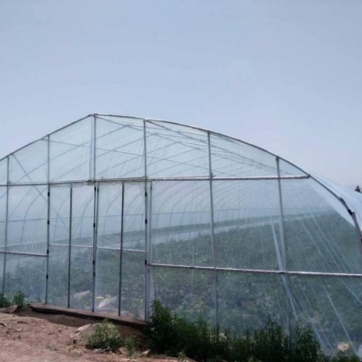 农用大棚骨架生产厂 简易蔬菜大棚造价每亩 温室大棚建设