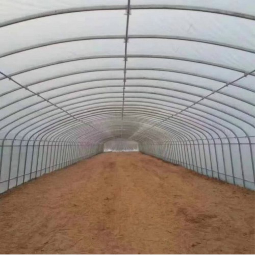 蔬菜种植大棚 钢管温室大棚 12米宽钢架大棚造价