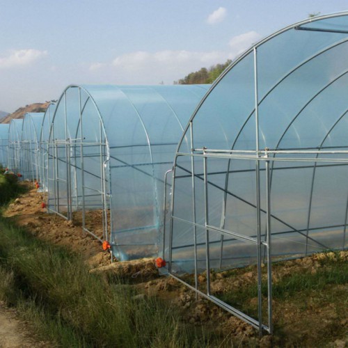 番茄大棚 反季节蔬菜大棚建造 葡萄温室大棚造价 梨树大棚