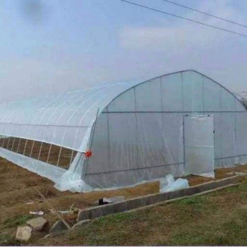 新型温室大棚 简易钢架大棚一亩地 做蔬菜大棚