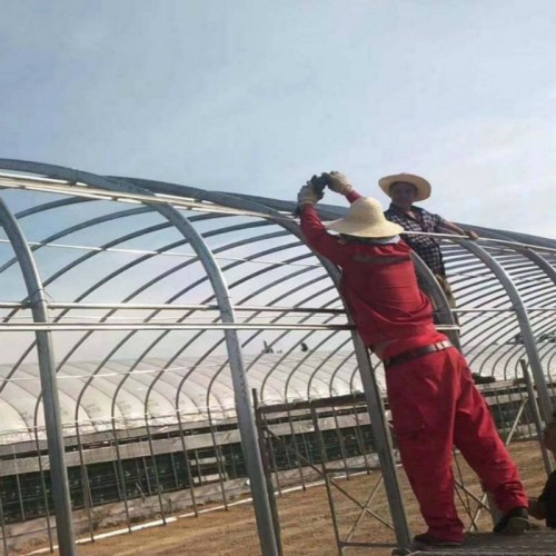 种植大棚骨架 西瓜大棚搭建 温室塑料大棚造价