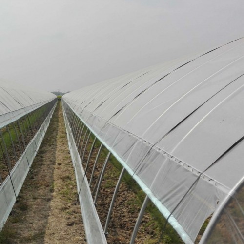 果蔬大棚配件 葡萄大棚 辣椒大棚 大棚内外棚 棚中棚建设