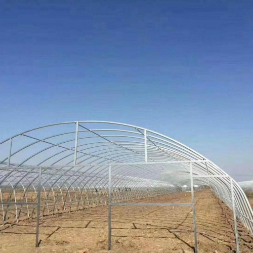 新式大棚建设 建个养殖大棚  单体棚 插地棚