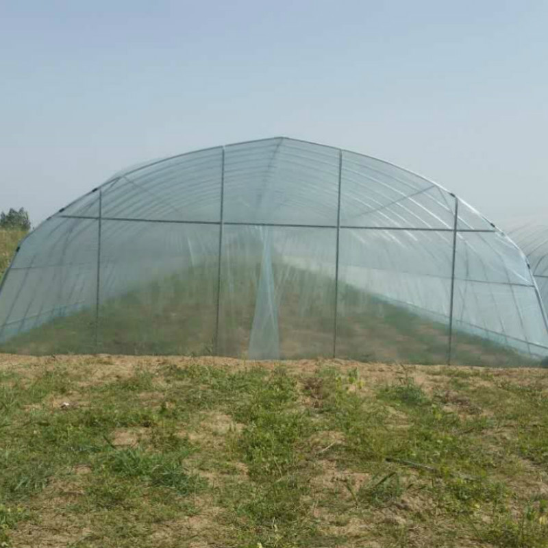 温室大棚安装 承接大棚建设 小型蔬菜大棚骨架