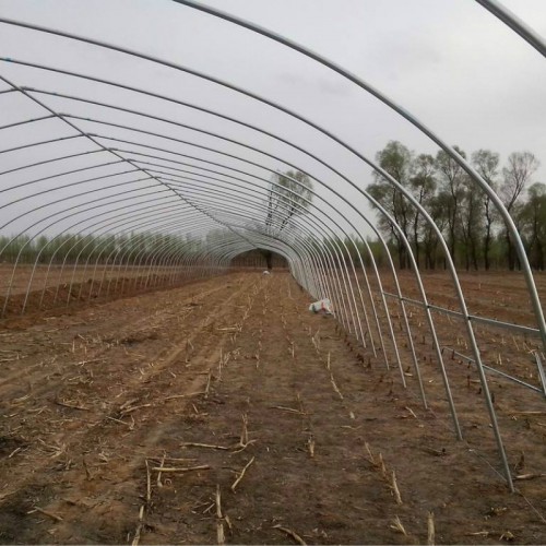 冬暖棚造价 大棚温室建设 简易大棚 插地大棚