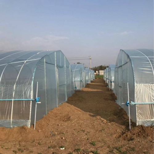养蚕大棚 蔬菜大棚钢结构 温室大棚安装 组装大棚