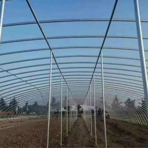 蔬菜塑料大棚 土墙温室大棚造价 农业大棚 果树避雨棚