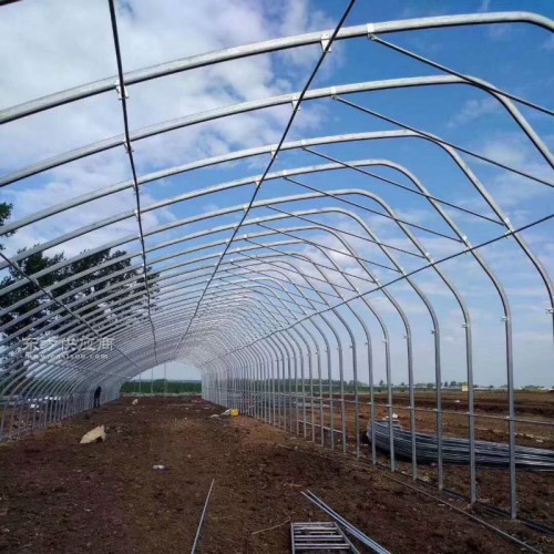 土墙日光温室大棚造价 简易养鸡大棚建造 500平方养殖大棚