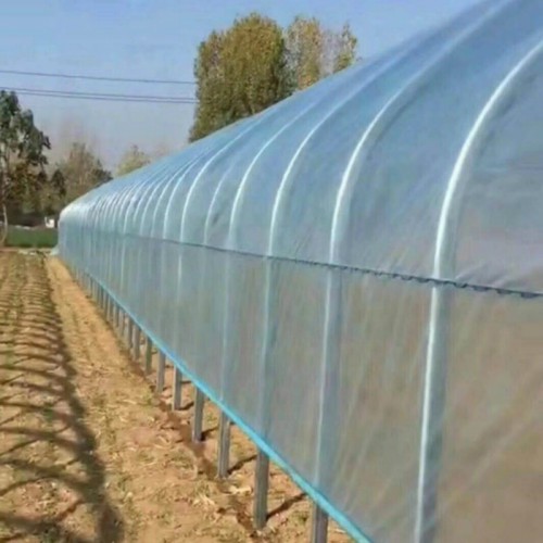 草莓种植大棚投资 西瓜大棚造价每亩 蔬菜大棚安装