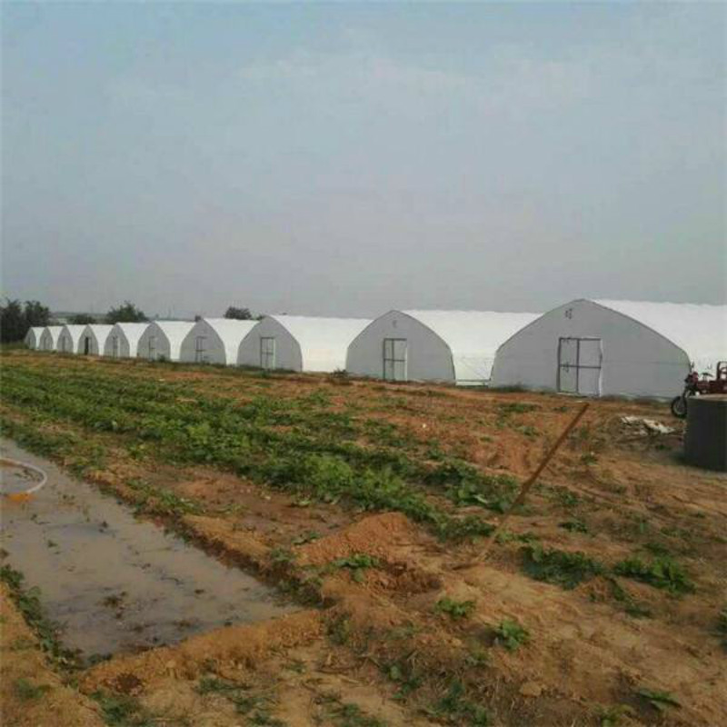 Summer beach concept