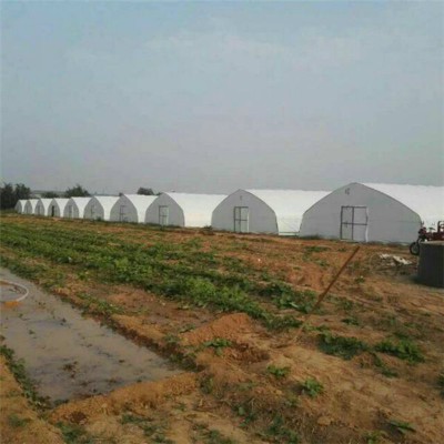 食用菌钢架大棚建设 塑料大棚搭建 灵芝大棚 木耳大棚