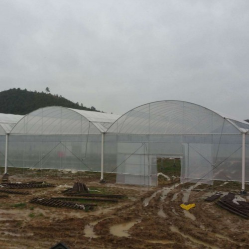 连栋温室大棚搭建 葡萄温室大棚 建种植大棚造价 西瓜简易棚