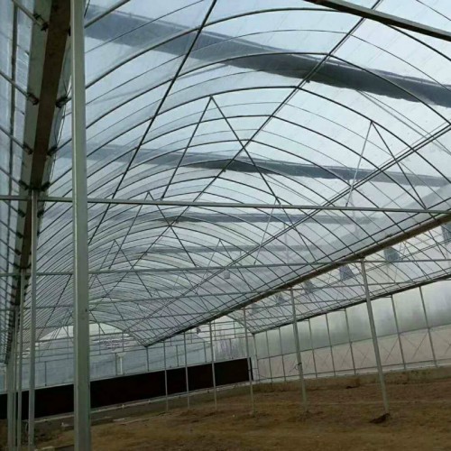 插地大棚 简易连体大棚 江苏温室大棚厂 外遮阳连栋大棚