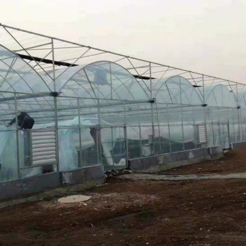 连栋大棚骨架 沭阳温室大棚 草莓大棚造价 建种植大棚