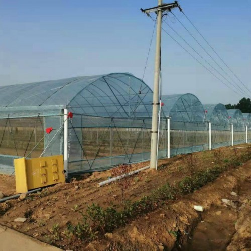 一亩钢架大棚要 8米宽的蔬菜大棚造价 冬暖式大棚的建造