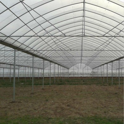 葡萄大棚投资 水稻育苗大棚一亩 种植食用菌的大棚 鲜花大棚