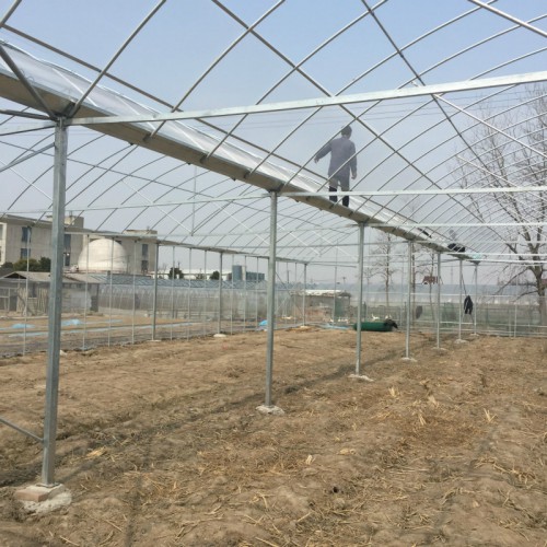 建连栋温室大棚 温棚建造一亩 镀锌钢管薄膜温室 大棚温室公司