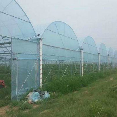 电动遮阳连栋大棚 简易连体大棚 蔬菜大棚的建造材料