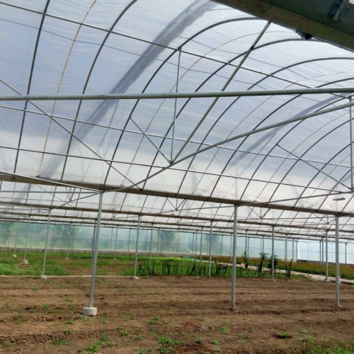 连栋大棚造价 家庭简易温室大棚 做蔬菜大棚 钢架棚价格