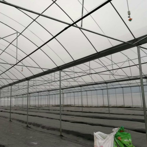 连体钢架大棚 连栋大棚温室 现代化蔬菜大棚建设