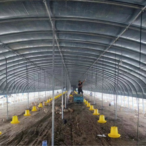 养殖大棚骨架 6米钢管拱棚 建设牛舍大棚 新式养鸭大棚