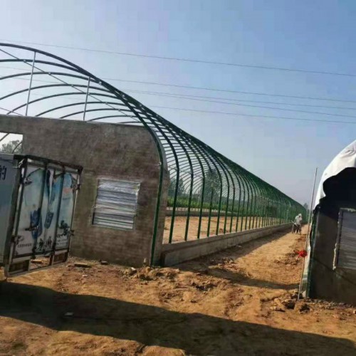 新型养羊大棚 六米大棚 花卉养殖大棚 鸡舍大棚