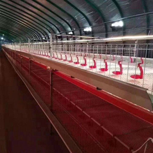 猪牛羊养殖大棚造价 镀锌管大棚骨架 建钢管大棚