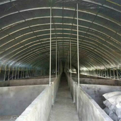 500平养猪大棚造价 养殖大棚建造一平方米 搭建养猪大棚