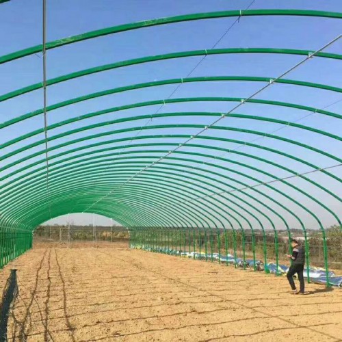 新式养鸡大棚的建设 养猪钢架大棚 鸡棚搭建 水产养殖大棚建造