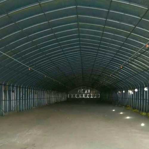 养殖大棚搭建 蛋鸡养殖大棚造价 兔子养殖大棚建设