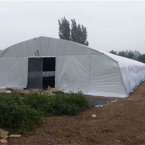 新型冬暖式大棚 羊棚建造 养鸡棚的搭建