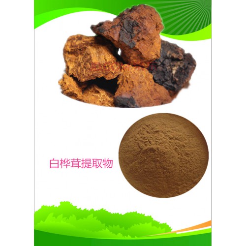 白桦茸提取物  水提 10：1   白桦茸浸膏  白桦茸粉