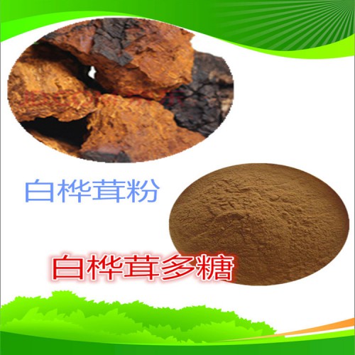 白桦茸多糖 30%  50% 白桦茸液提取液 多规格