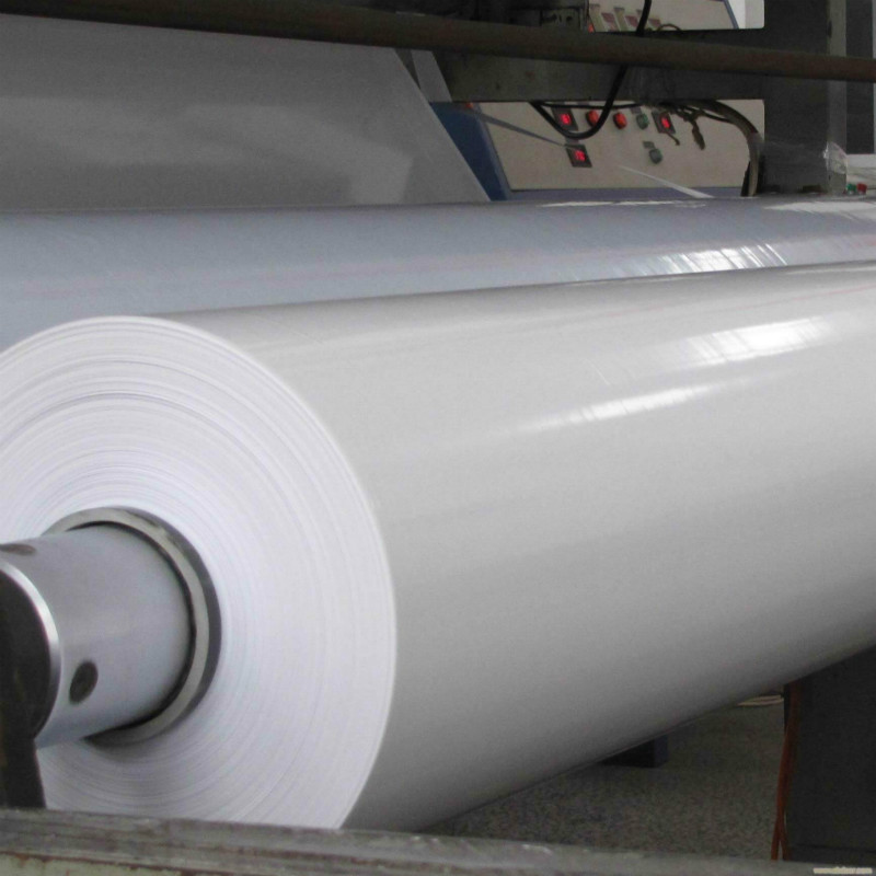 Summer beach concept