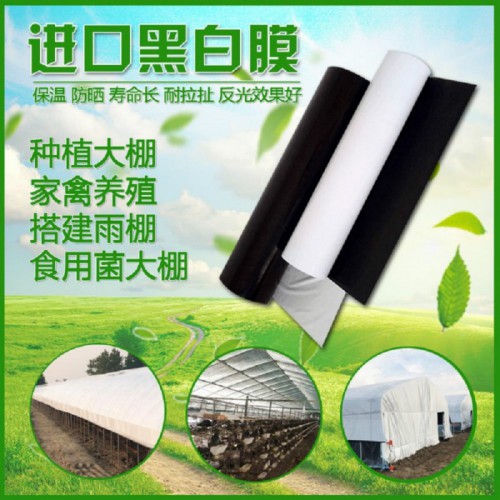 保温防晒膜 PEP利得黑白膜 养殖大棚黑白膜 销售大棚膜