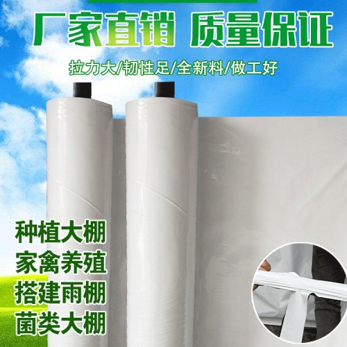 大棚隔热防晒膜 黑白膜价钱一平方 食用菌大棚黑白膜