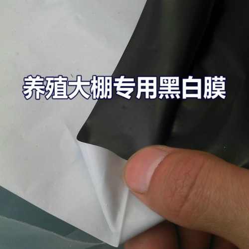 大棚专用黑白膜 利得膜黑白膜 黑白膜价格 进口黑白膜