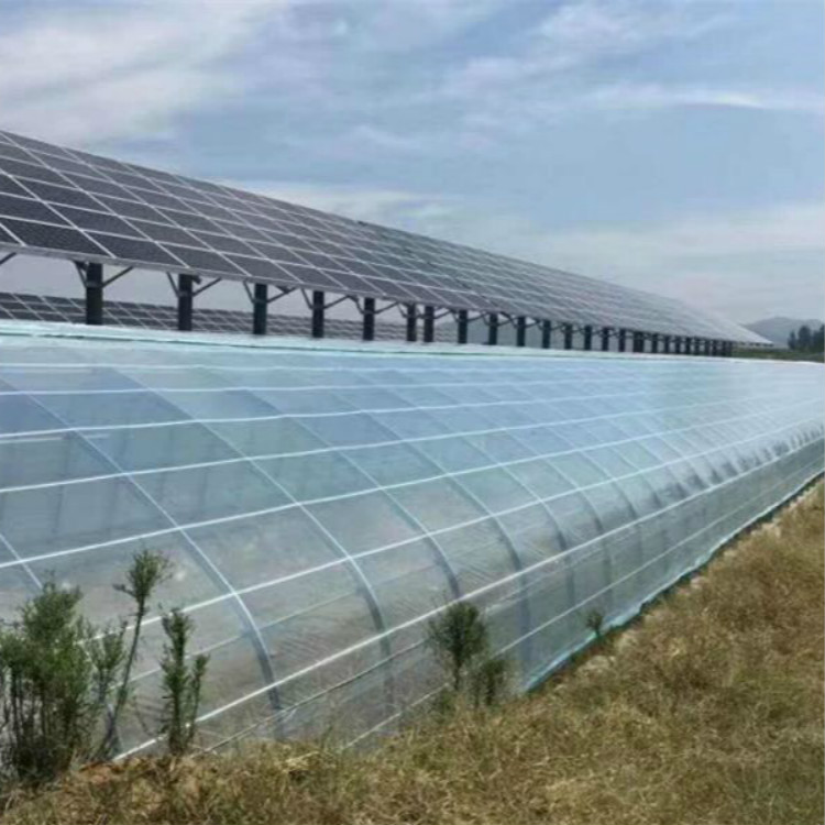 Summer beach concept