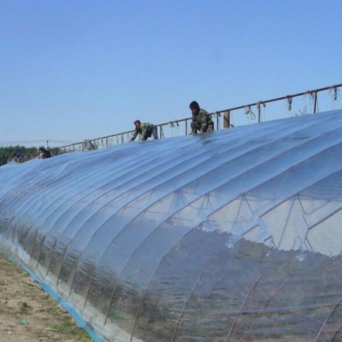 种植温室大棚价格 后墙式蔬菜大棚 大棚包工包料建造