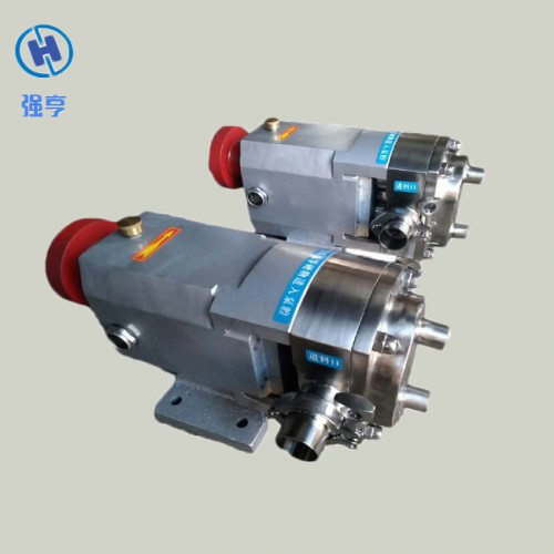 食品卫生泵3RP凸轮转子泵支持定制厂家直销