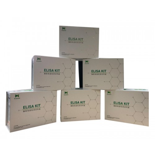 小鼠维生素K2(VK2)ELISA试剂盒